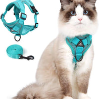 Cat Harness and Leash Set, Upgraded Escape Proof Adjustable Vest with Lead for Kitten Puppy Outdoor Walking, Soft Breathable Mesh Jacket with Reflective Strips for Dark Night (M2, Emerald Green)