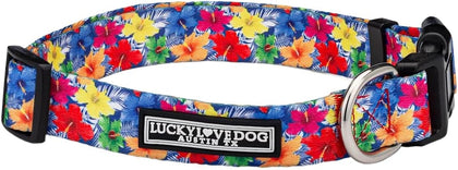 Lucky Love Dog Collar for Large Dogs Cute Adjustable Soft – Hana, Large