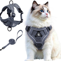 Cat Harness and Leash Set, Upgraded Escape Proof Adjustable Vest with Lead for Large Cat Small Dog Puppy Outdoor Walking, Soft Breathable Mesh Jacket with Reflective Strips for Dark Night, L Gray