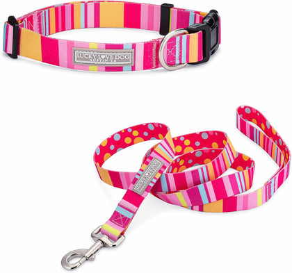 Lucky Love Dog Collar and Leash Set for Medium Dogs Cute – Molly, Medium