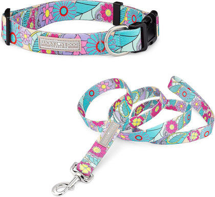 Lucky Love Dog Collar and Leash Set Matching Cute – Caroline, X-Small