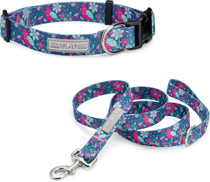 Lucky Love Dog Collar and Leash Set for Medium Dogs – Carriebelle, Medium