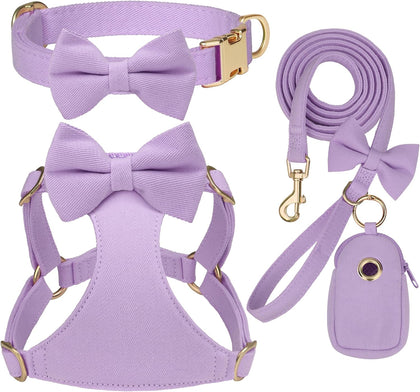 Beirui Cute Small Dog Harness Collar and Leash Set, Purple,XXS,Chest 12-14