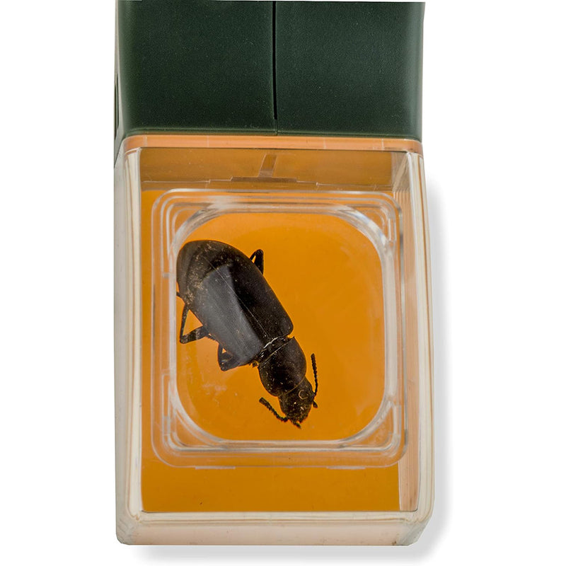 Atrapa Insectos con Lupa y Liberación Rápida