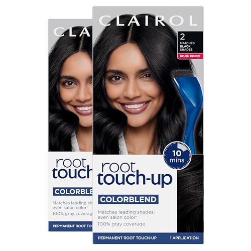 Clairol Root Touch-Up by Nice'n Easy Permanent Hair Dye, 2 Black Hair Color | 100% Gray Coverage | Easy Brush Application | Matches Professional Salon Shades | Pack of 2