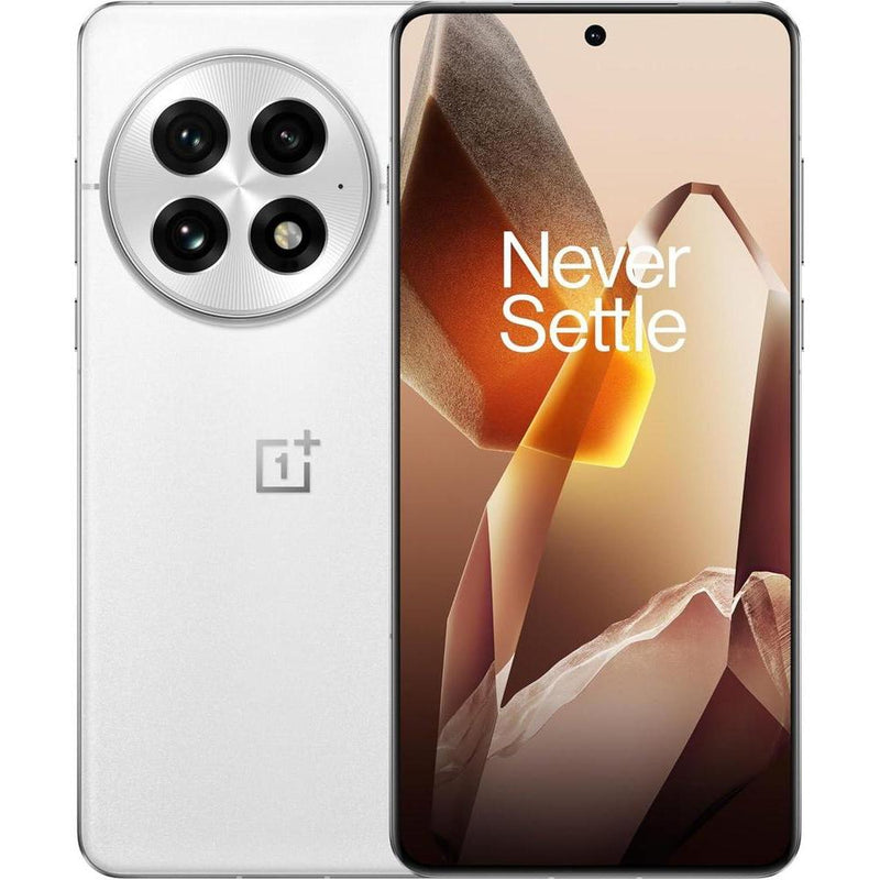 OnePlus 13