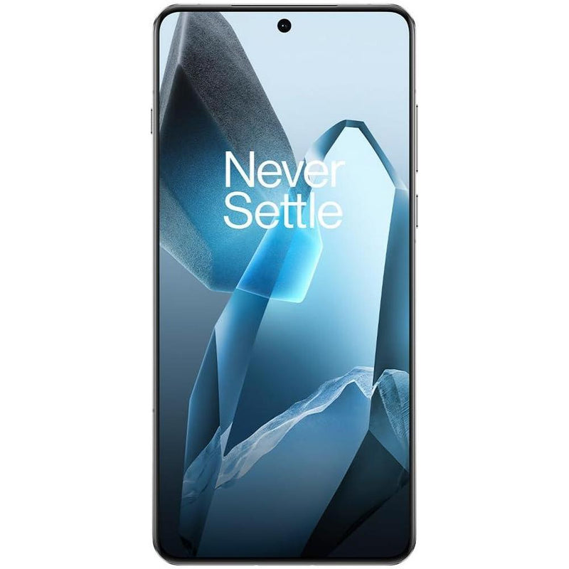 OnePlus 13