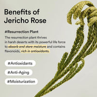 Abib Crema de Ojos con Colágeno y Rosa de Jericó, Reduce Ojeras, Hinchazón y Líneas Finas