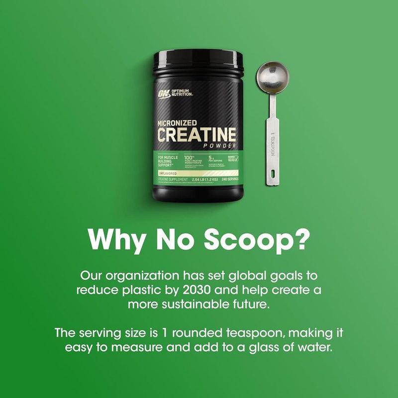 Optimum Nutrition Creatina Micronizada Monohidrato en Polvo sin Sabor, Amigable con Dieta Keto, 240 Porciones