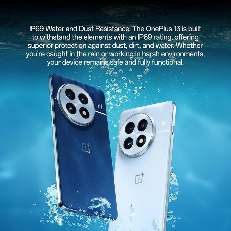 OnePlus 13