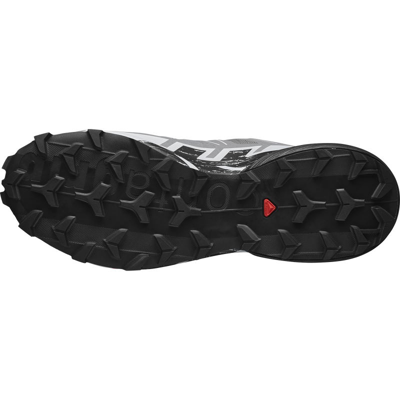 Salomon Speedcross 6 Quiet Shade